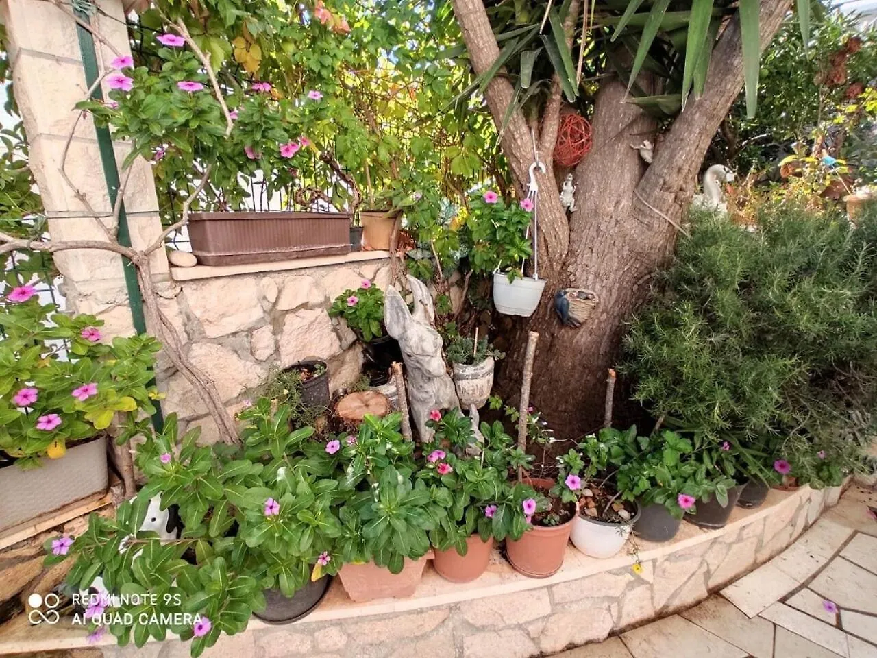 Apartments Josko Trogir